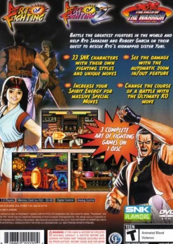 Art of Fighting Anthology