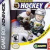 Backyard Hockey