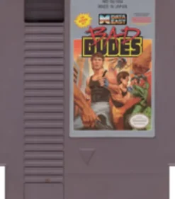 Bad Dudes