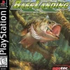 Bass Landing