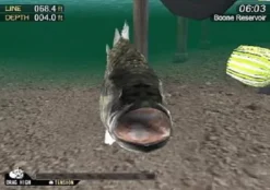 Bass Strike