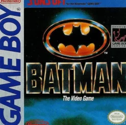 Batman the Video Game