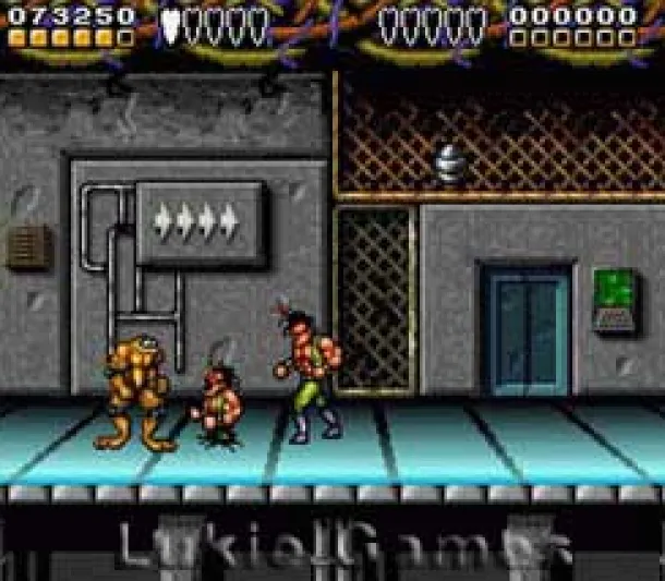 Battletoads / Double Dragon the Ultimate Team