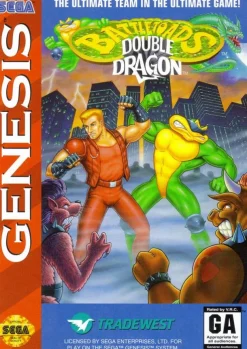 Battletoads and Double Dragon