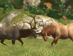 Big Game Hunter