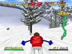 Big Mountain 2000