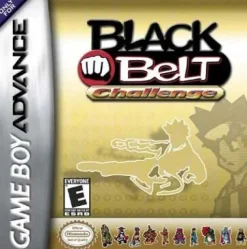 Black Belt Challenge