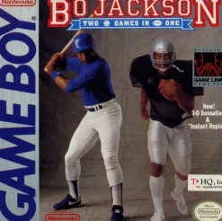 Bo Jackson's Hit and Run