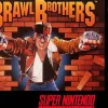 Brawl Brothers