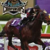 Breeders' Cup World Thoroughbred Championships