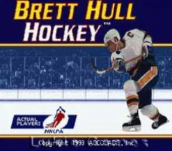 Brett Hull Hockey
