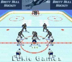 Brett Hull Hockey