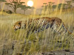 Cabela's African Safari