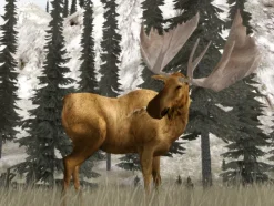 Cabela's Legendary Adventures