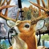 Cabela's North American Adventures 2011