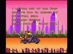 Chester Cheetah Wild Wild Quest