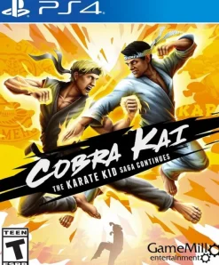 Cobra Kai: The Karate Kid Saga Continues