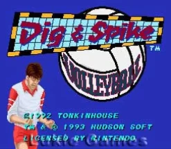 Dig and Spike Volleyball