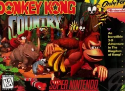 Donkey Kong Country