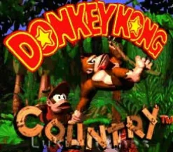 Donkey Kong Country