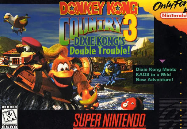 Donkey Kong Country 3