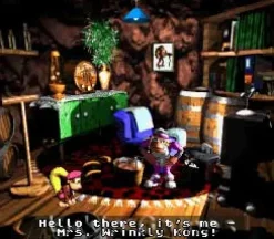 Donkey Kong Country 3