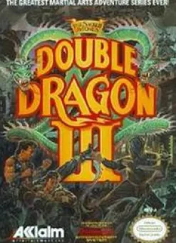 Double Dragon 3