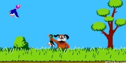 Duck Hunt