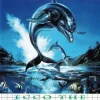 Ecco the Dolphin