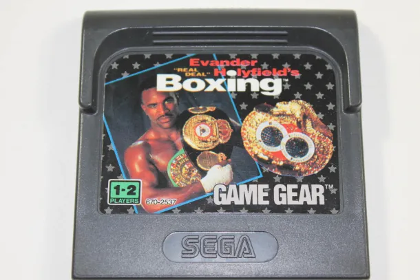 Evander Holyfield's Real Deal Boxing