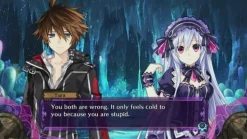 Fairy Fencer F