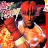 Fighter's Destiny