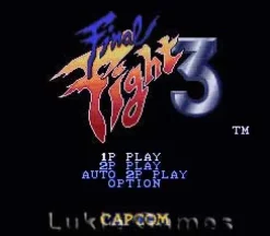 Final Fight 3