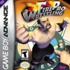 Fire Pro Wrestling