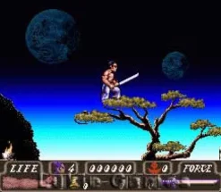 First Samurai