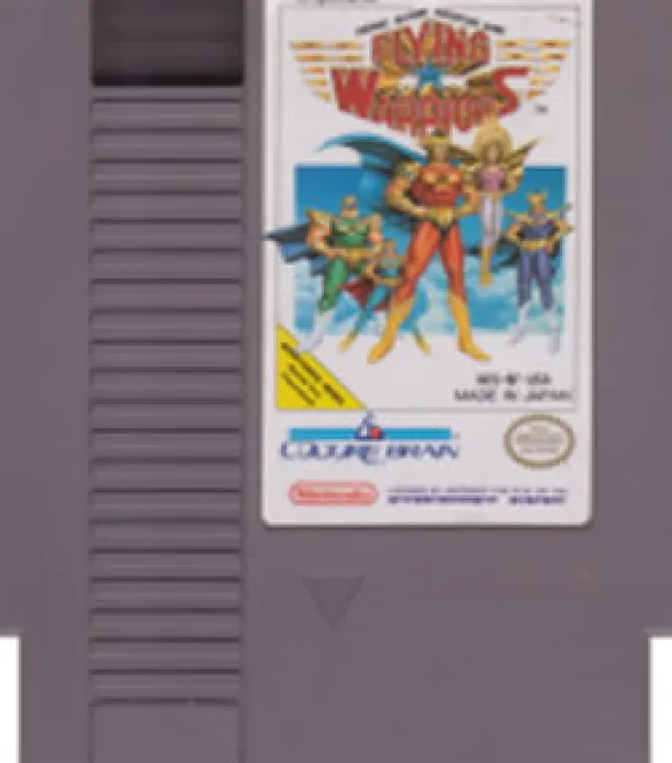 Flying Warriors