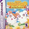 Hamtaro Ham Ham Heartbreak