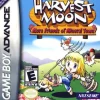 Harvest Moon More Friends of Mineral Town