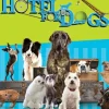 Hotel For Dogs