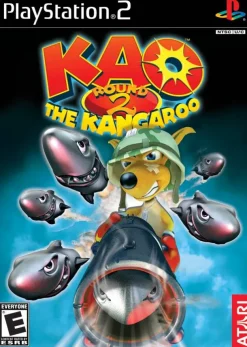 Kao the Kangaroo Round 2