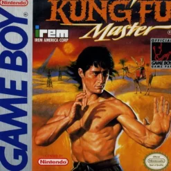 Kung Fu Master