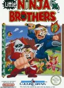 Little Ninja Brothers