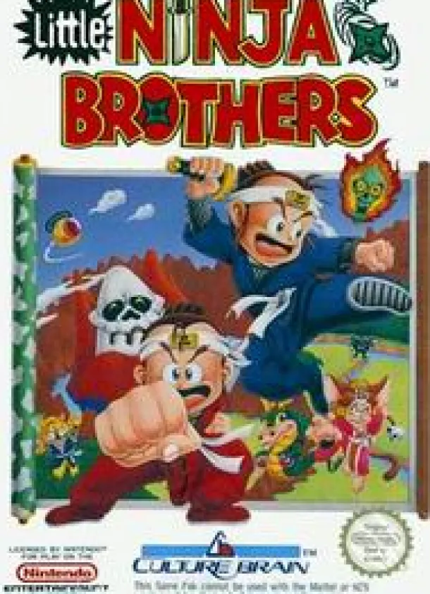 Little Ninja Brothers
