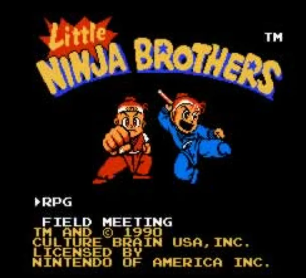 Little Ninja Brothers