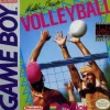 Malibu Beach Volleyball