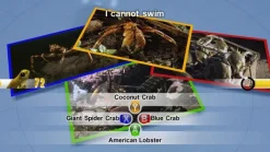 Nat Geo Challenge! Wild Life