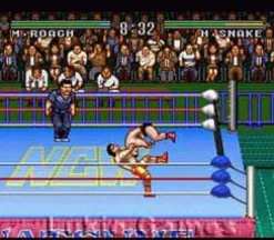 Natsume Championship Wrestling