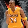 NBA 2007