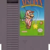 NES Open