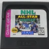 NHL All-Star Hockey